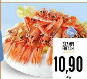 Conad Scampi Freschi offerta