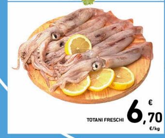 Spazio Conad Totani freschi offerta