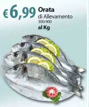 Extra Supermercati Orata di Allevamento 300/400 offerta