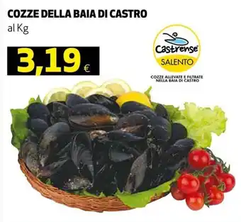 Coop Cozze Della Baia di Castro offerta