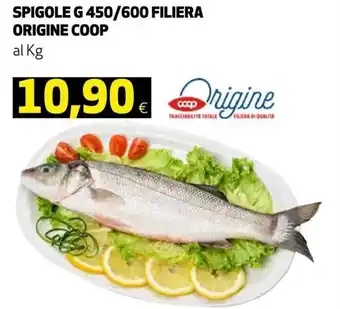 Coop Spigole g 450/600 Filiera Origine Coop offerta