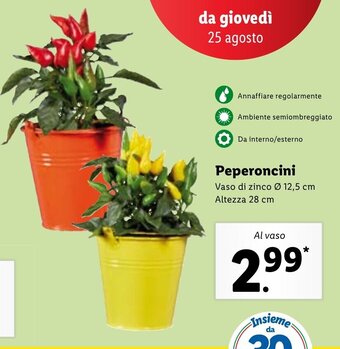 Lidl Peperoncini offerta