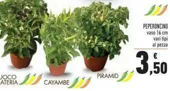 Conad Conad Peperoncino offerta