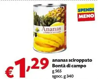 Pam Bontà Di Campo Ananas Sciroppato offerta