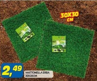 Risparmio Casa Piante offerta