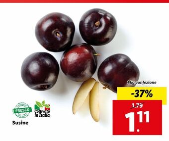 Lidl Susine offerta