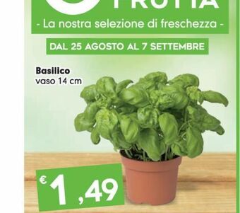 Despar Basilico offerta