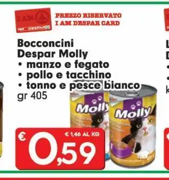DeSpar Express Bocconcini despar molly offerta