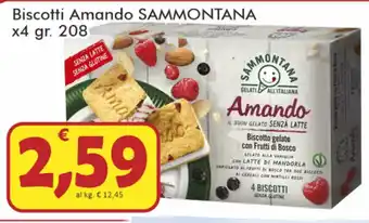 Paghi Poco Sammontana Biscotti Amando 208gr offerta