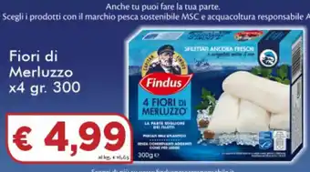 Paghi Poco Findus Fiori di Merluzzo 300gr offerta