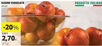 Ipercoop Susine variegate offerta