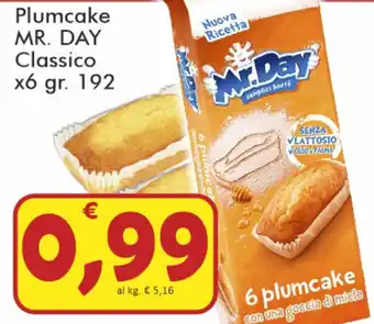 Paghi Poco Mr. Day Plumcake Classico 192gr offerta