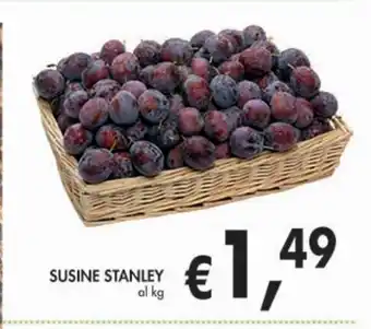 Coal City Susine stanley offerta