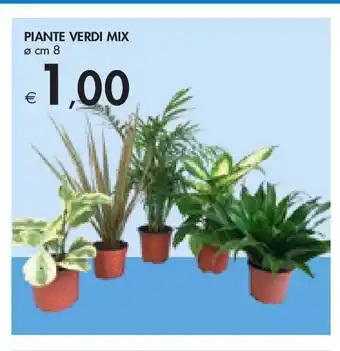 Bennet Piante verdi mix offerta