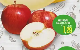 Supermercati EffePiù Mele Rpyal Gala Cal/ 75-80 offerta