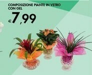 Bennet Composizione Piante In Vetro Con Gel offerta