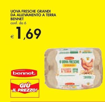 Bennet Uova fresche grandi da allevamento a terra bennet offerta