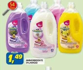 Risparmio Casa Ammorbidente 54 Lavaggi offerta