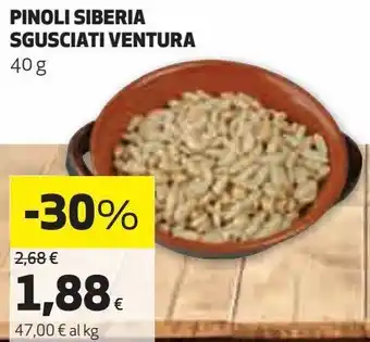 Pinoli siberia sgusciate ventura