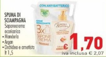 Spuma di Sciampagna Sapone crema ecoricarica lt 1,5