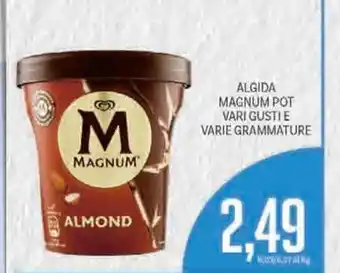 Supermercati Piccolo Algida Magnum Pot Vari Gustil E Varie Grammature offerta