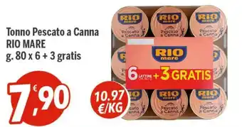 Rio Mare Tonno Pescato a Canna g. 80x6+3 gratis