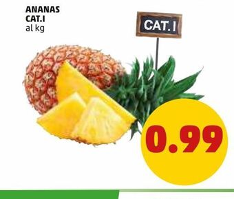 PENNY Ananas cat.i offerta