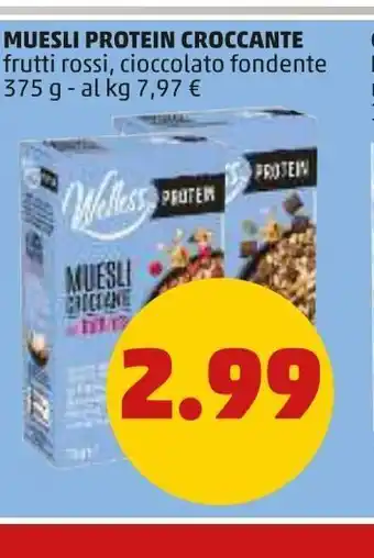 PENNY Muesli protein croccante frutti rossi, cioccolato fondente 37g offerta