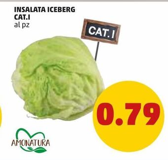 PENNY Insalata iceberg cat.i offerta