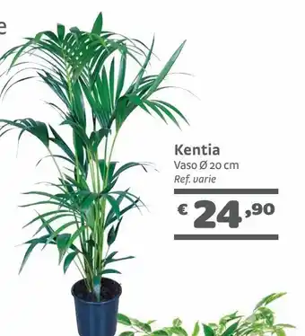 Bricocenter Kentia offerta