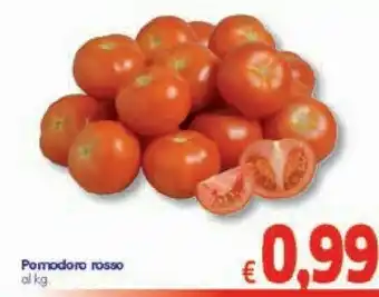 A&O Pomodoro Rosso offerta