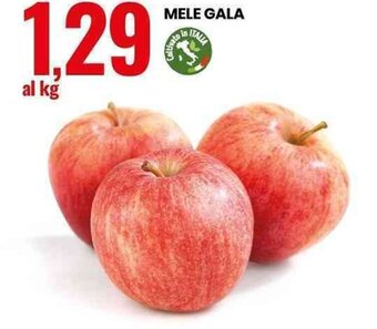 Eurospin Mele Gala offerta