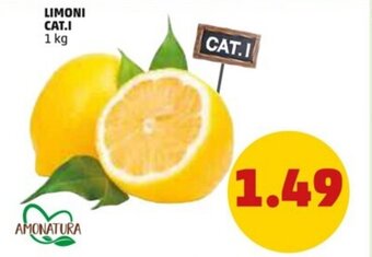 PENNY Limoni 1 kg offerta