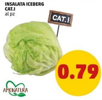 PENNY Insalata Iceberg offerta