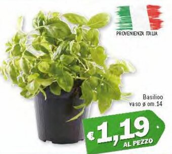 Ard Discount Basilico vaso ø cm.14 offerta