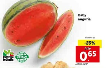 Lidl Baby Anguria offerta
