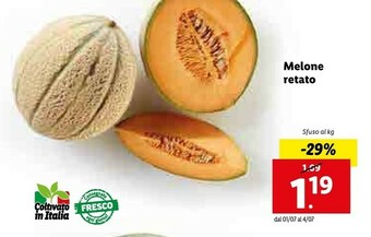 Lidl Melone Retato offerta