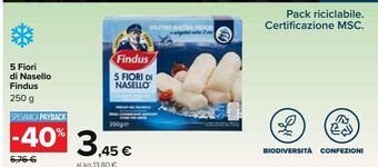 Carrefour Iper 5 fiori di nasello findus offerta