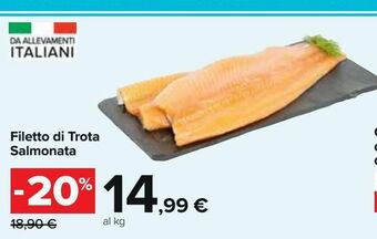 Filetto di trota salmonata