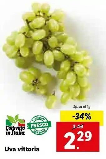 Lidl Uva Vittora offerta