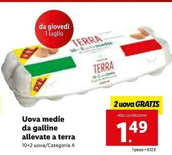 Lidl Uova Medie Da Galline Allevate A Terra offerta