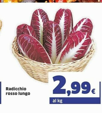 Sigma Radicchio Rosso Lungo offerta