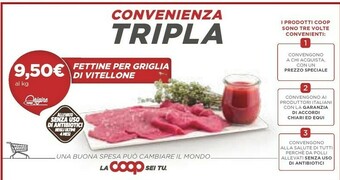 Coop Polli Spiedini offerta