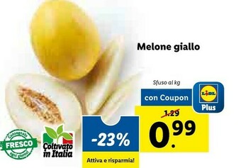 Lidl Melone Giallo offerta