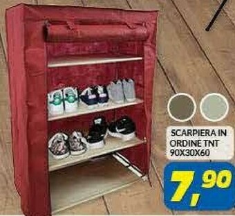 Risparmio Casa Scarpiera In Ordine Tnt 90x30x60 offerta