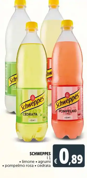 Deco Supermercati Schweppes 1 l offerta
