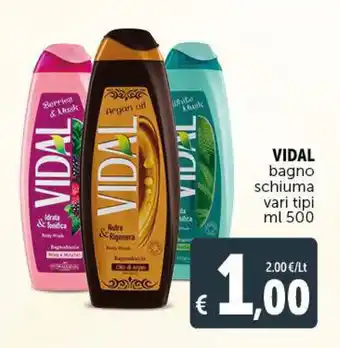 Deco Supermercati Vidal Bagnoschiuma vari tipi 500 ml offerta