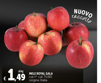 Deco Supermercati Mele Royal Gala offerta
