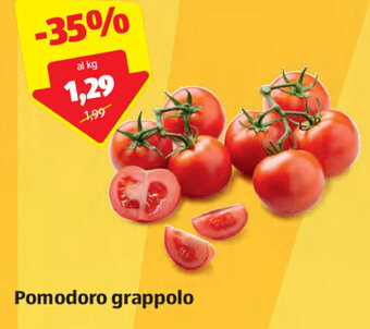 ALDI Pomodoro Grappolo offerta
