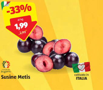 ALDI Susine Metis offerta